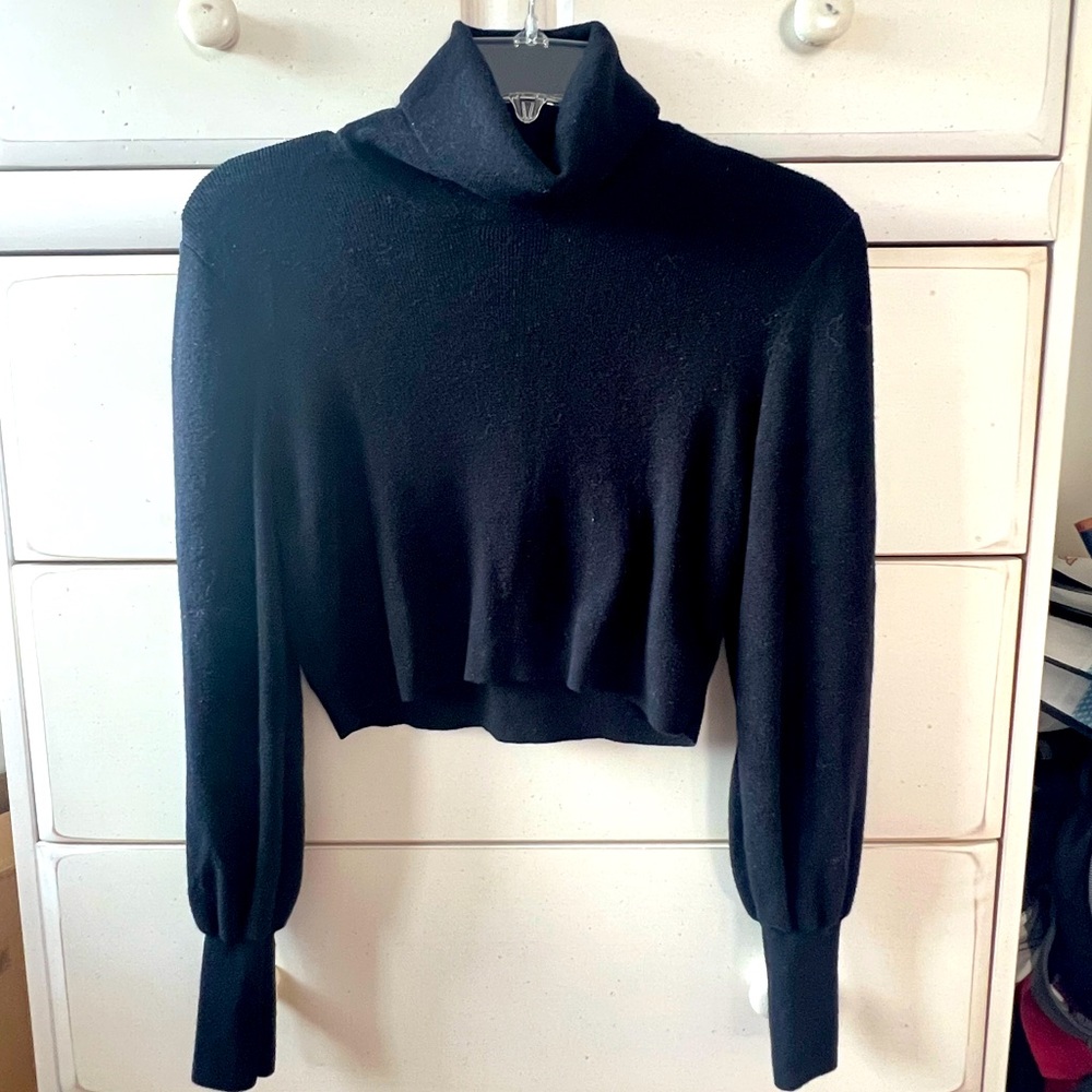 Aritizia Wilfred Cropped Turtle Neck